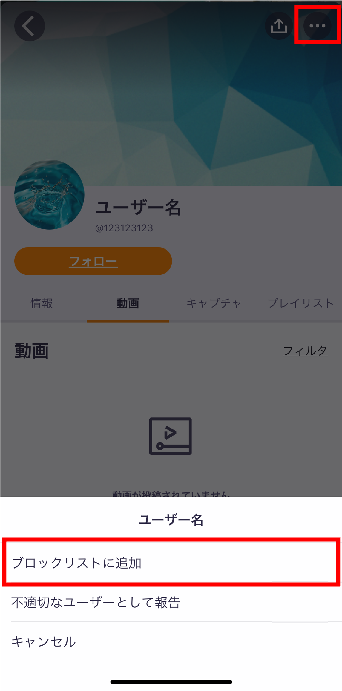 図1.png